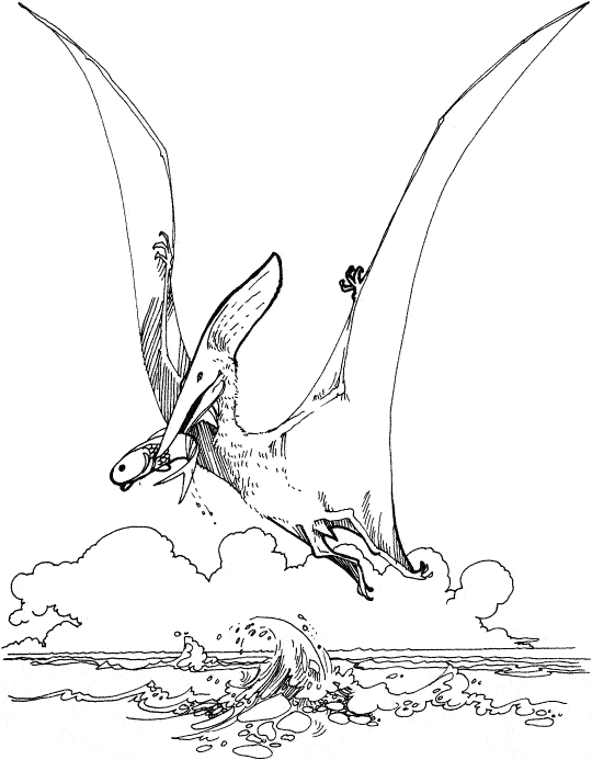coloriage pteranodon qui peche